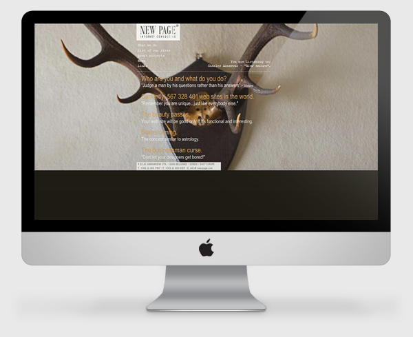 New Page, flash website for an internet consulting agency