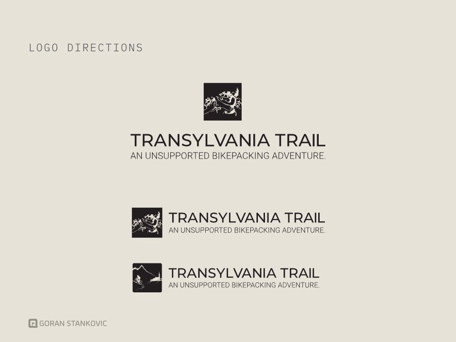 Logo direction 3