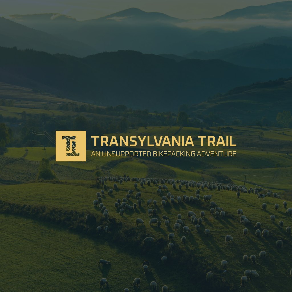 Transylvania Trail logo over sheep grazing below the Carpathians