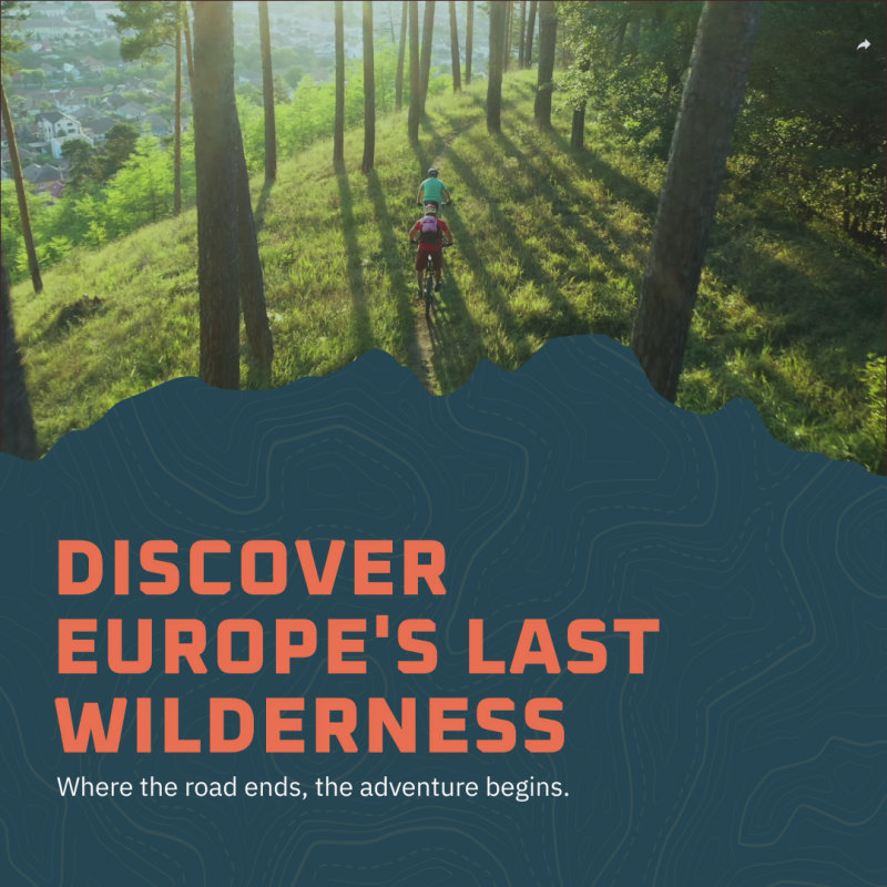 Post: Discover Europe's last wilderness, riders in a forest