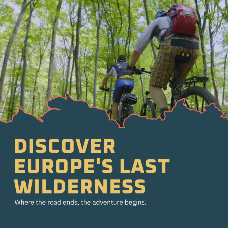 Post: Discover Europe's last wilderness, riders on a forest trail