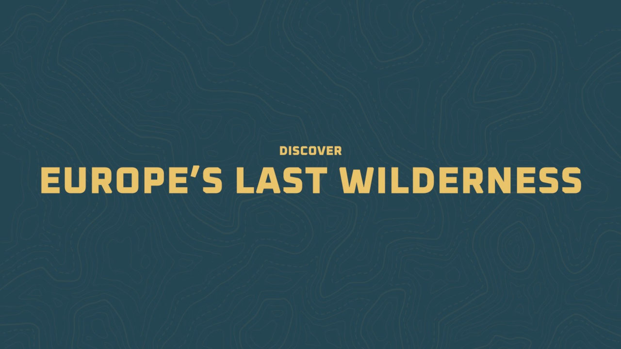 Title card: Discover Europe's last wilderness