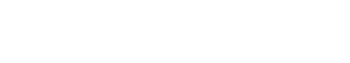 Vivo Sync wordmark